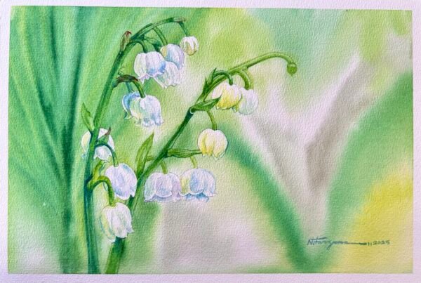 lilly of the valley 1