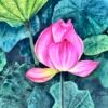 lotus 2