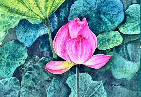 lotus 2