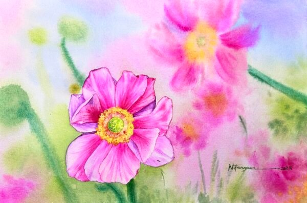 anemone