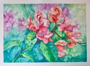 Home bougainvillea 1