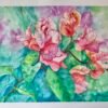 bougainvillea 1