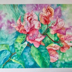 bougainvillea 1