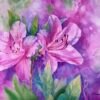 lovely azalea