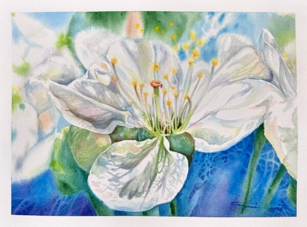 blossom symphony