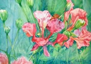 Home royal poinciana