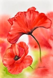 poppy 1
