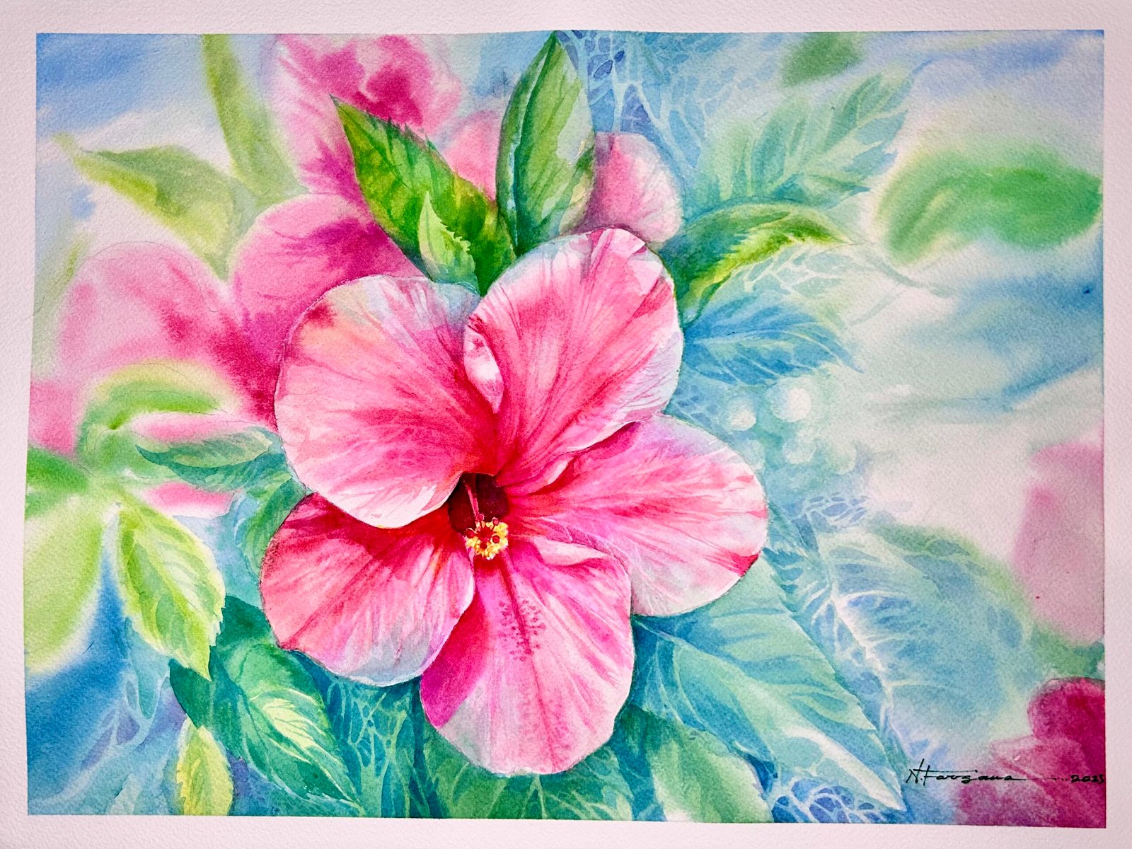 hibiscus hue hibiscus hue
