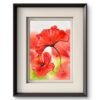 poppy 1