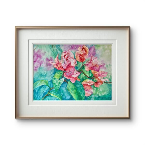 bougainvillea 1